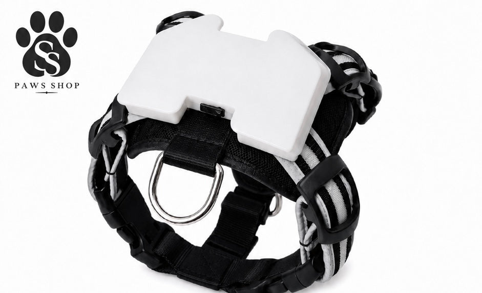 Harnais LED Lumineux pour Chien