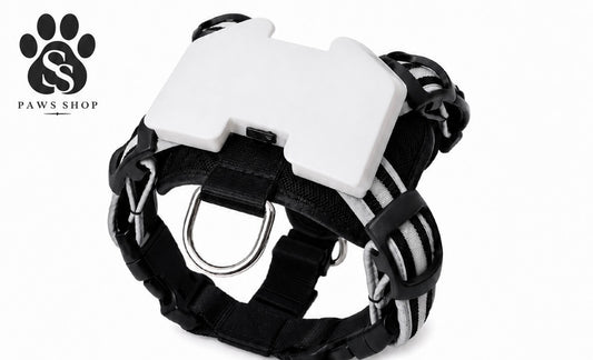 Harnais LED Lumineux pour Chien