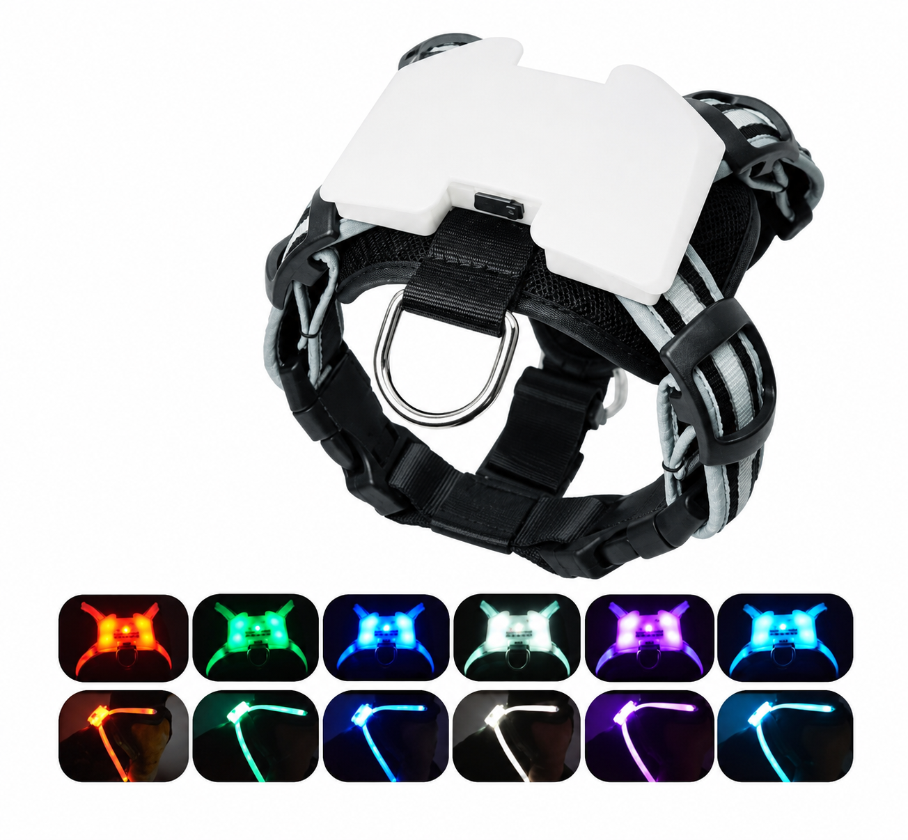 Harnais LED Lumineux pour Chien