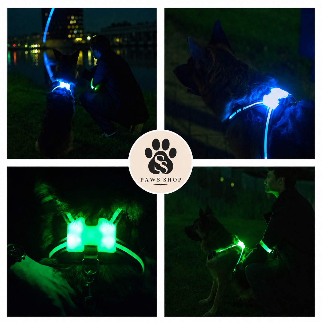 Harnais LED Lumineux pour Chien