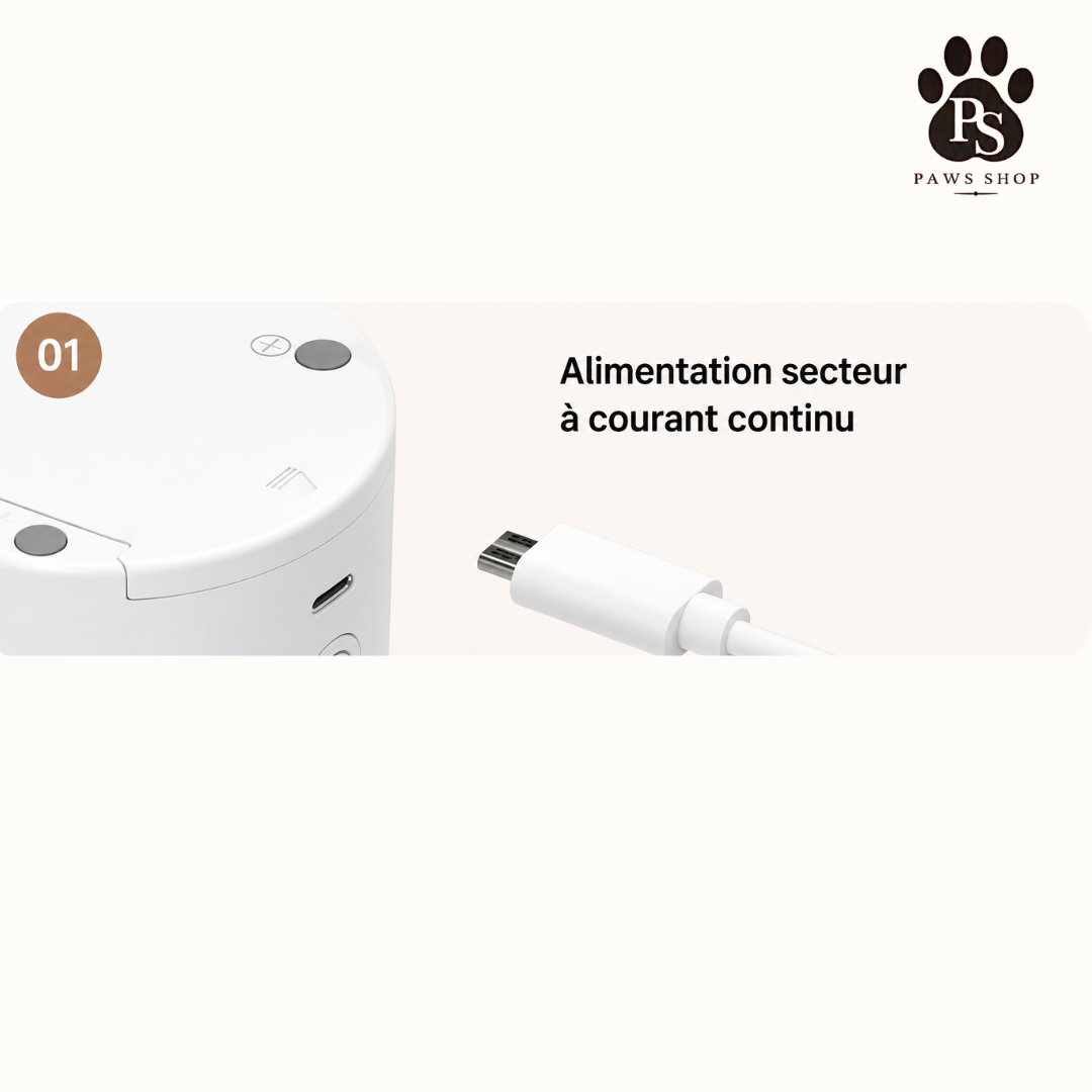 Jouet Laser pour Chat