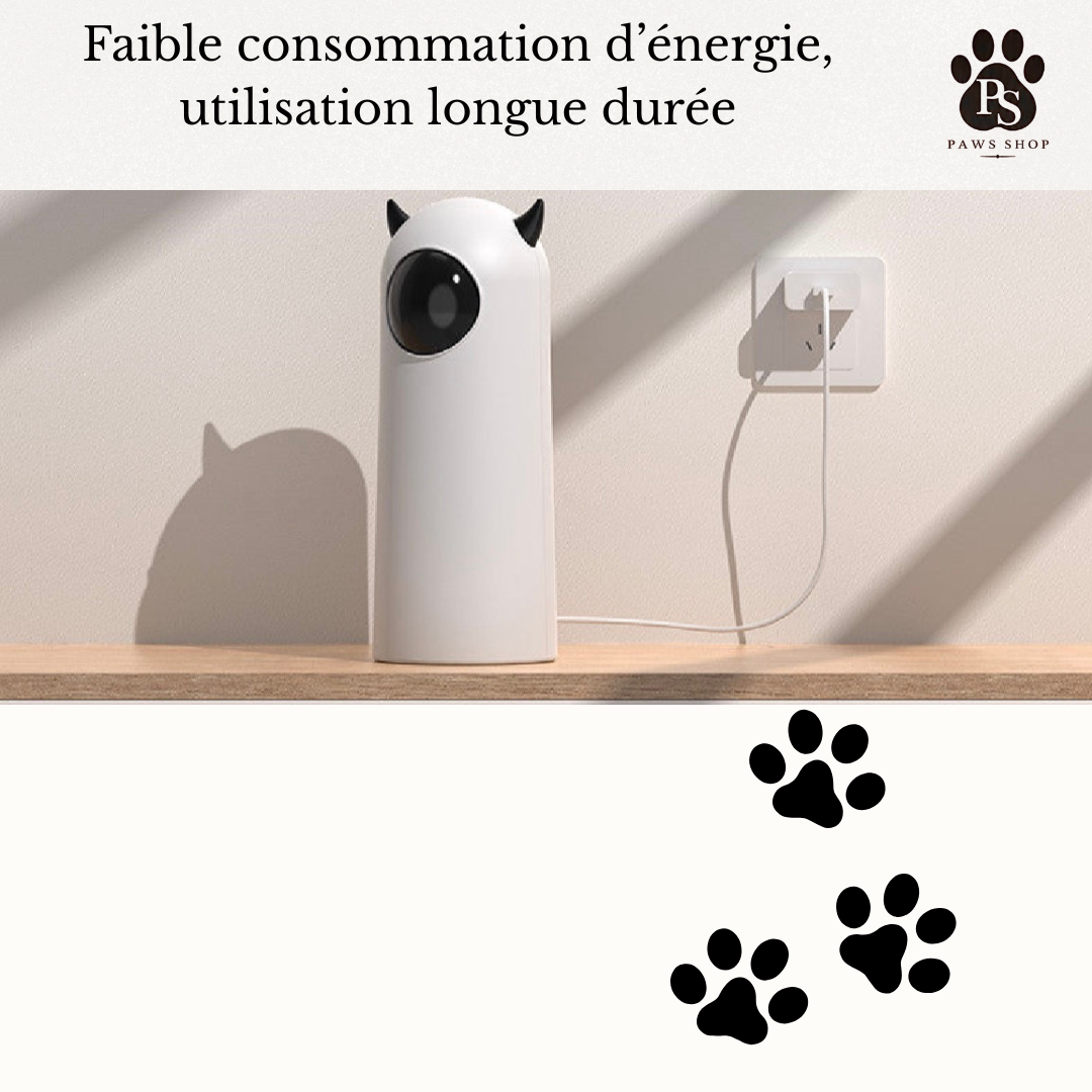 Jouet Laser pour Chat