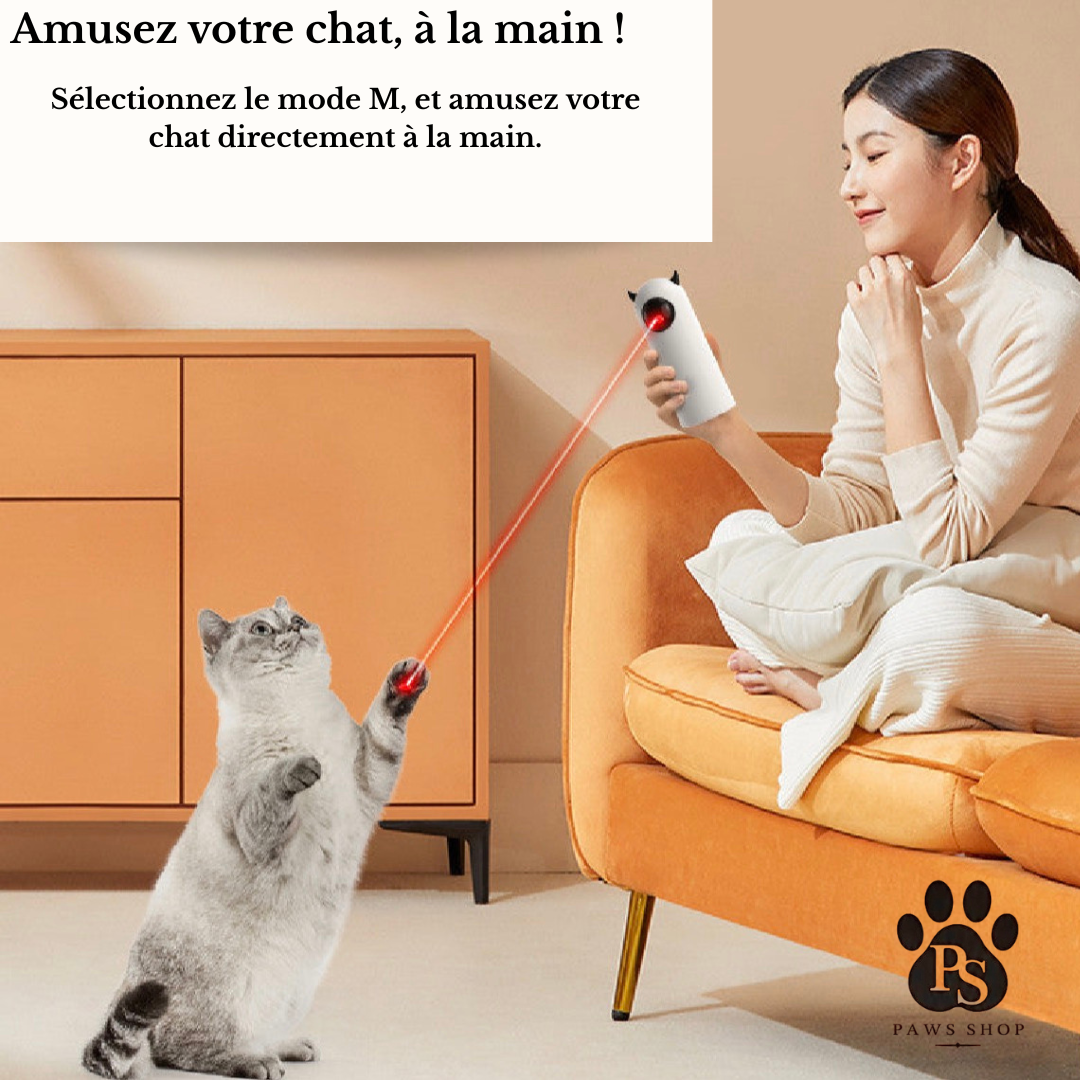 Jouet Laser pour Chat