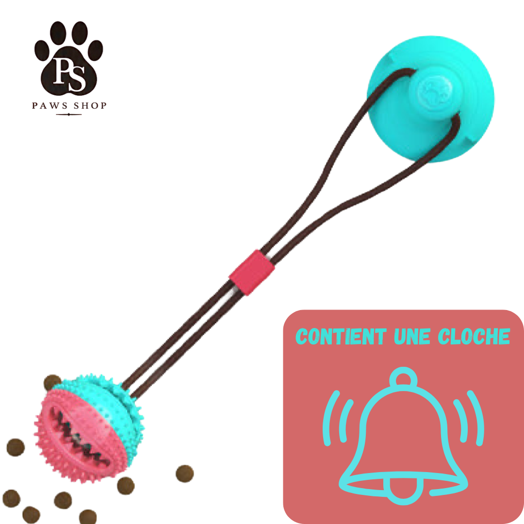 Balle Dentaire à Ventouse pour Chien