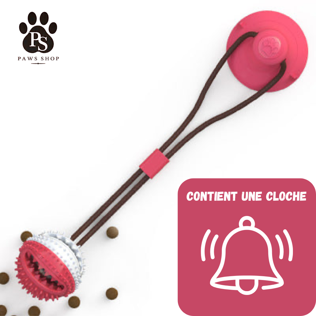 Balle Dentaire à Ventouse pour Chien