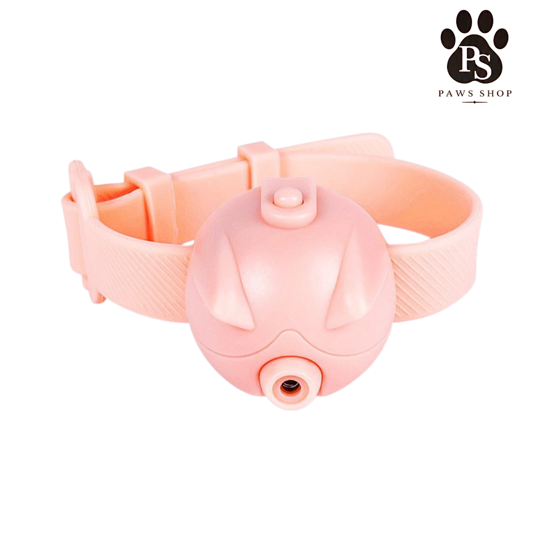 Collier Laser pour Chat