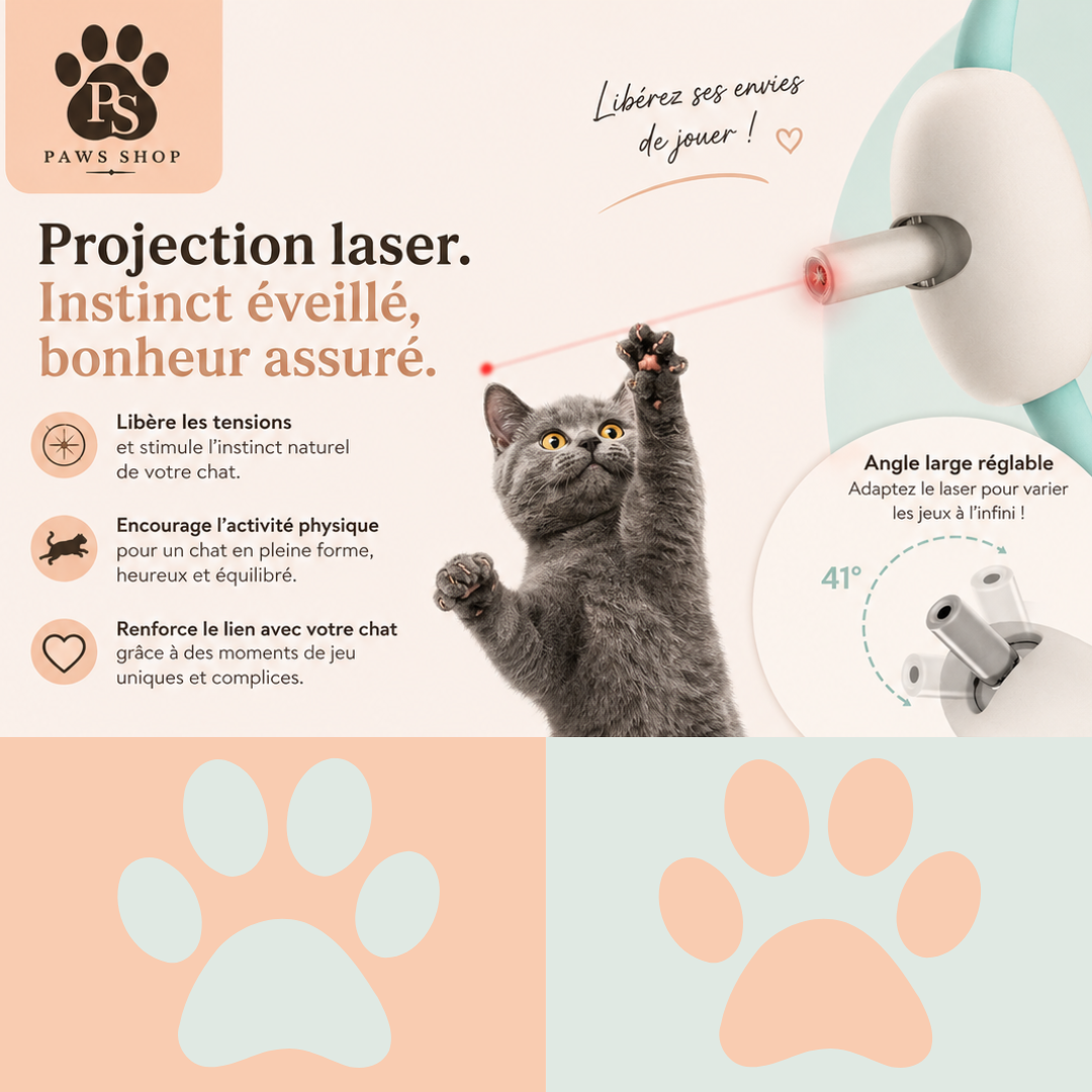 Collier Laser pour Chat