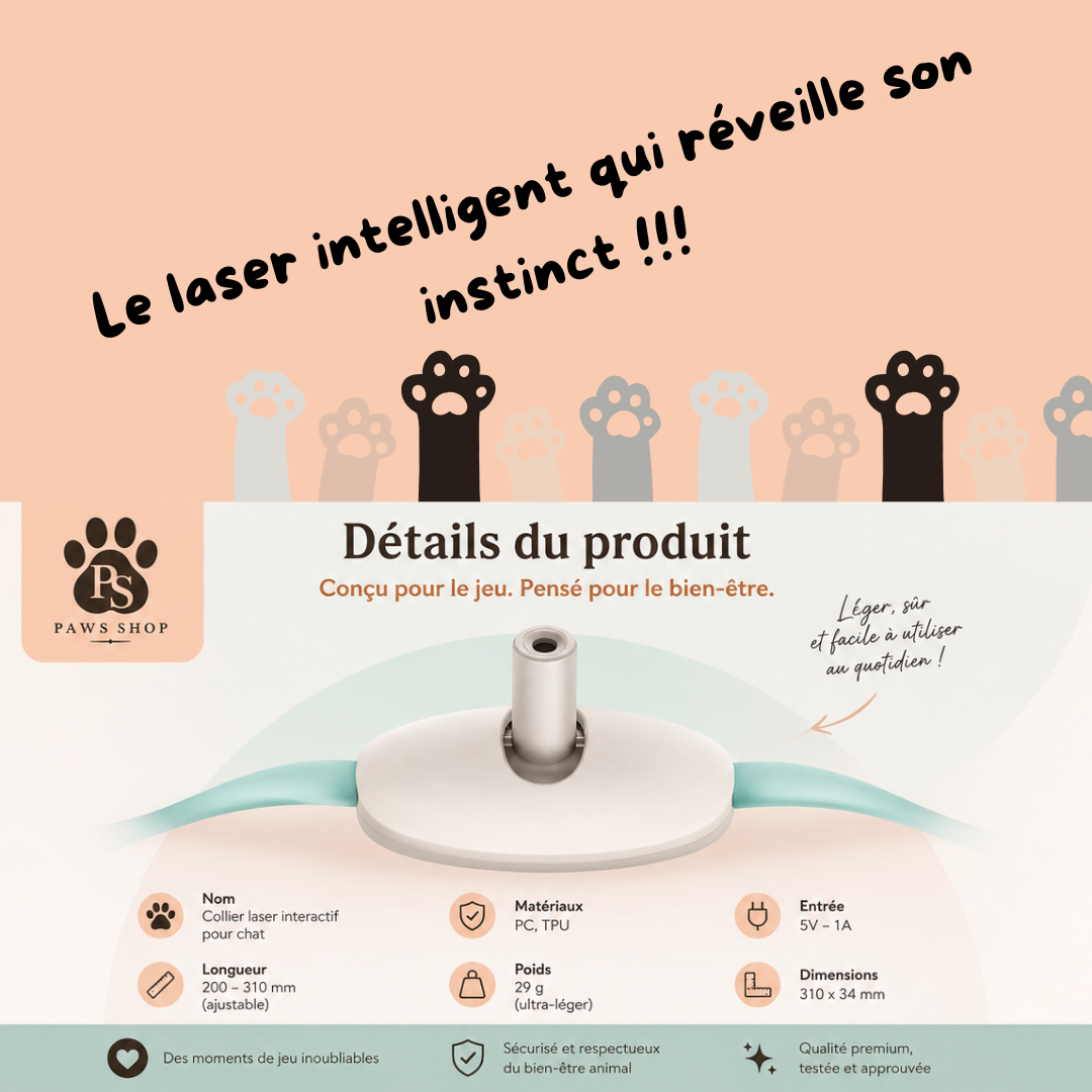 Collier Laser pour Chat