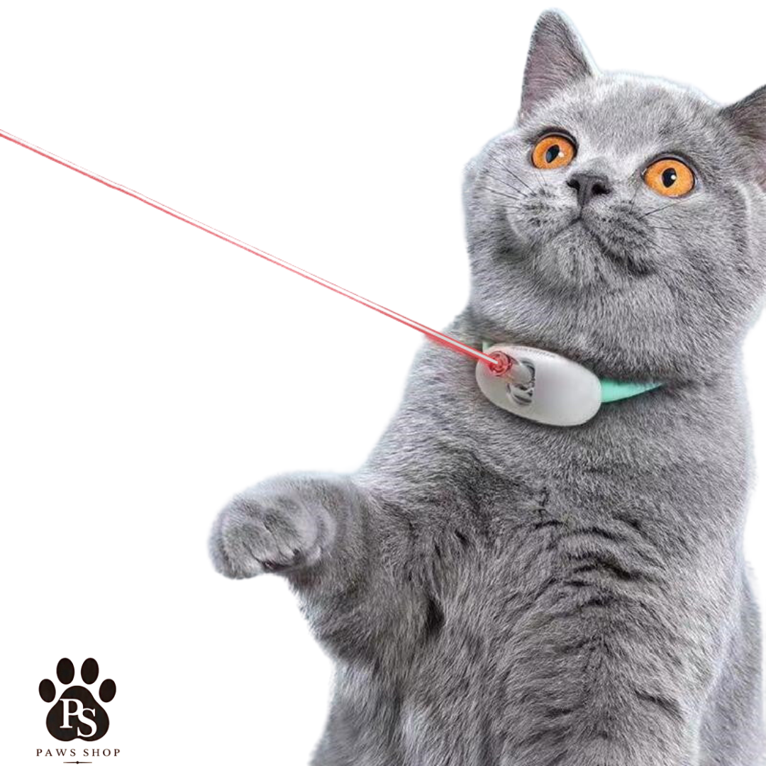 Collier Laser pour Chat