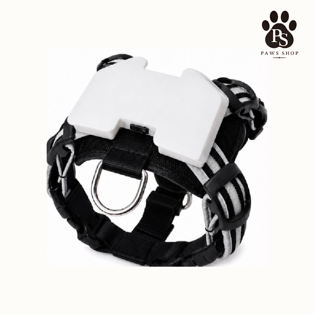 Harnais LED Lumineux pour Chien