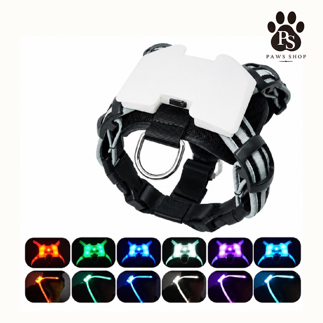 Harnais LED Lumineux pour Chien
